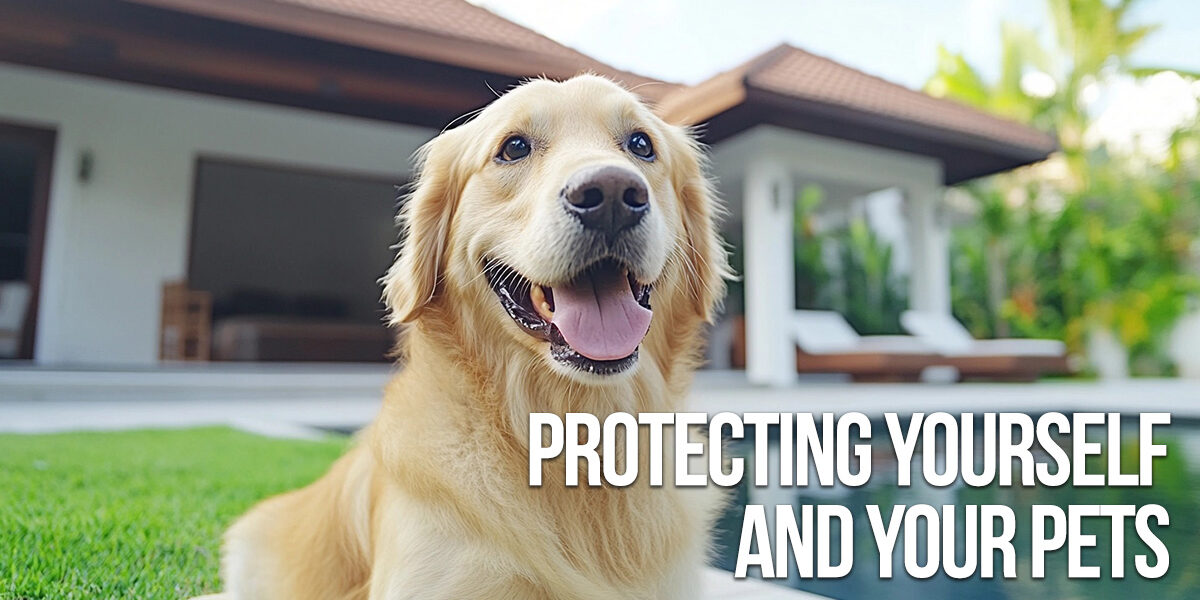 HOME-Protecting Yourself and Your Pets